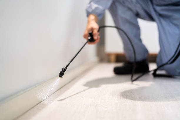Licensed Pest Control service in Energy, IL - Show Me Pest Control