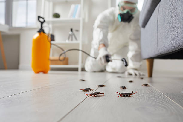 Post-Treatment Bed Bug Interceptor Monitoring in Energy