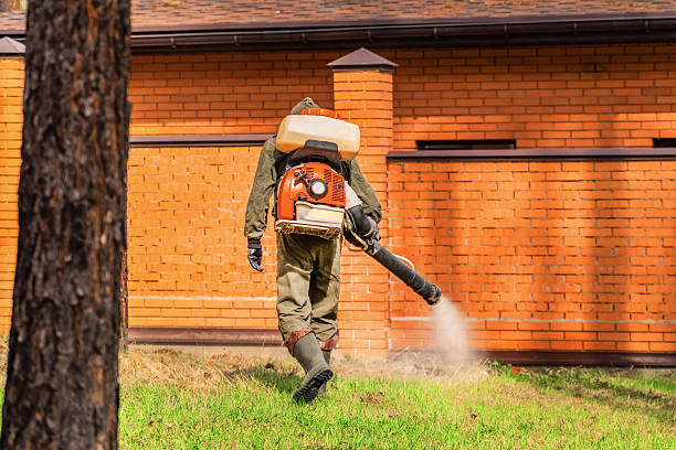 Bed Bug Clearance Verification and Documentation in Energy
